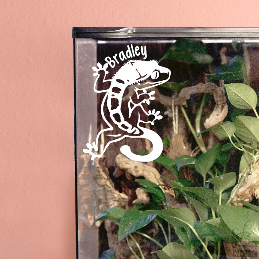 Reptile shops decals