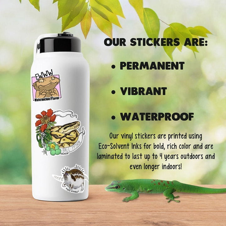 Image shows a sticker covered water bottle on a wood table with text: "Our stickers are: Permanent, vibrant, waterproof. Our vinyl stickers are printed using eco-solvent inks for bold colors and are laminated to last up to 4 years outdoors."