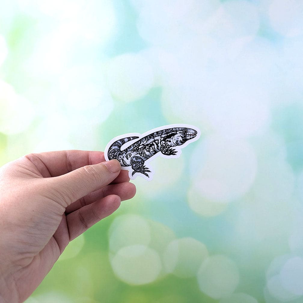 Paquete de pegatinas Tegu