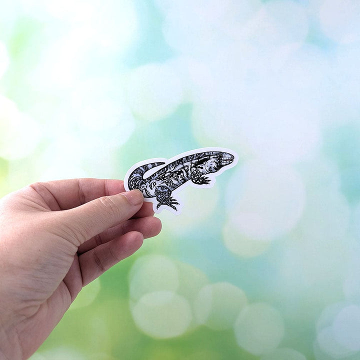 Paquete de pegatinas Tegu