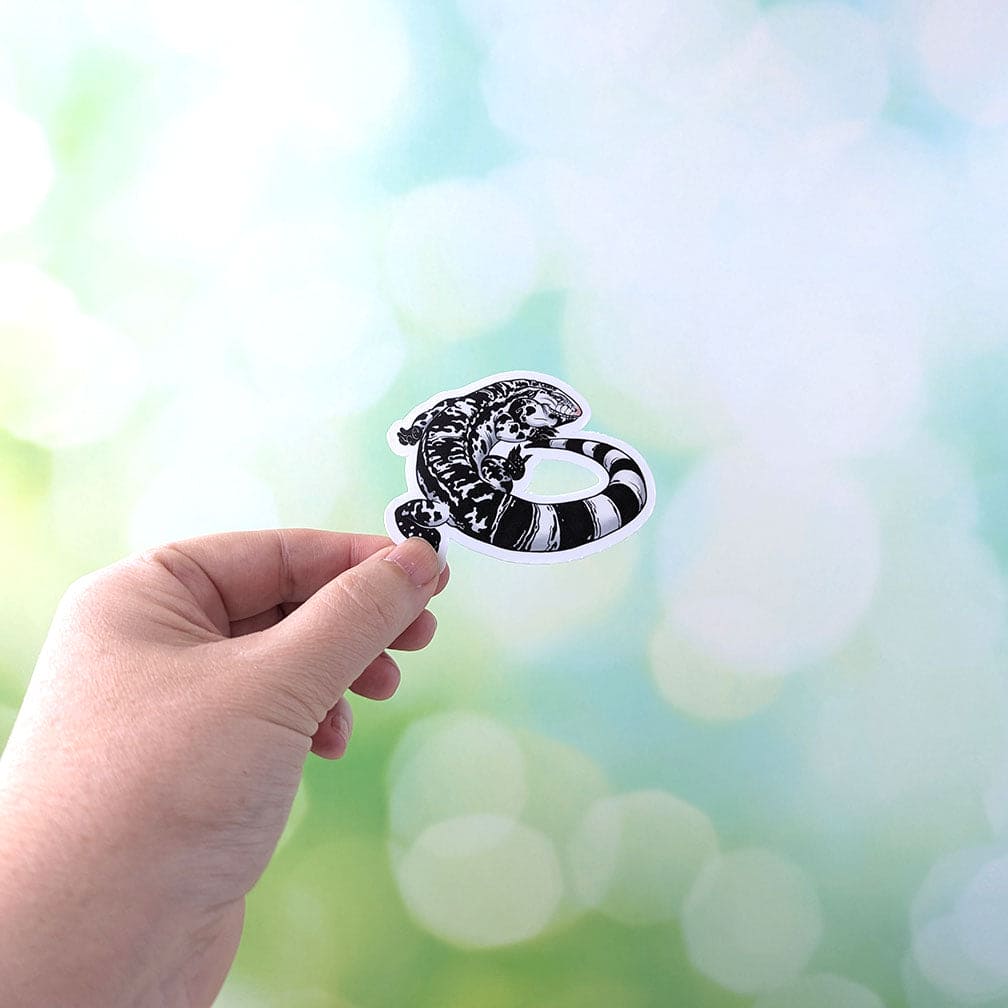 Paquete de pegatinas Tegu