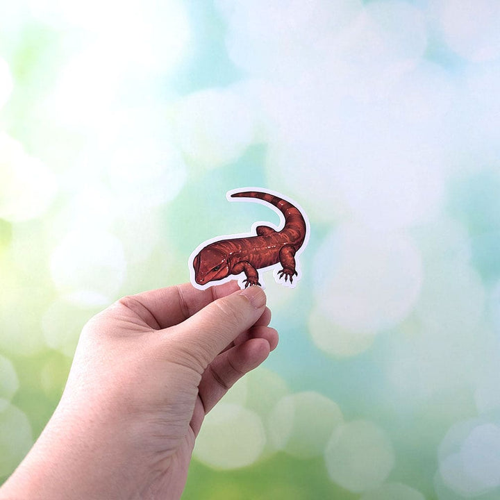 Paquete de pegatinas Tegu