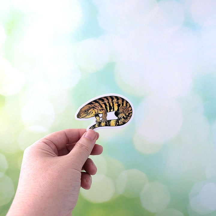 Paquete de pegatinas Tegu