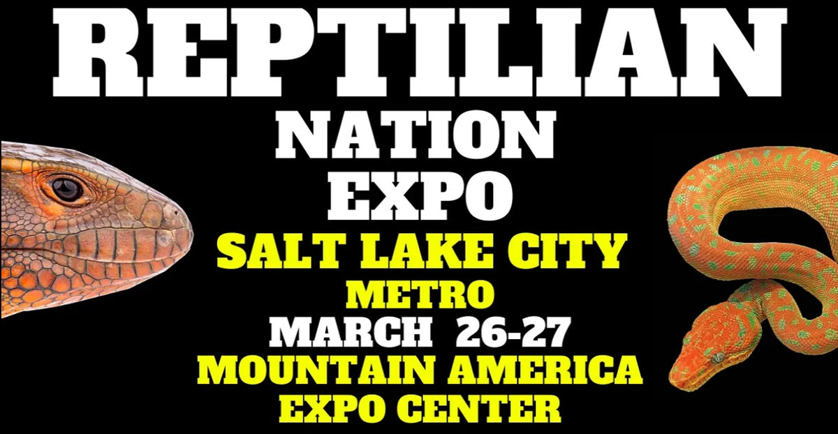 March Expo Events!