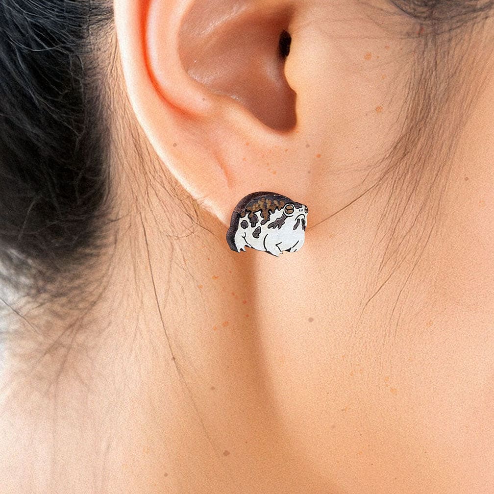 Pendientes de rana dardo venenoso