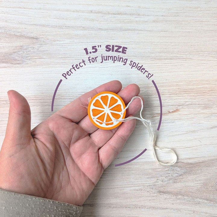 Hand holding a small orange spider fruit swing with text indicating size and use.