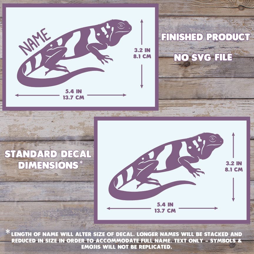 Fiji Banded Iguana Decal, Waterproof Vinyl Decal, Cute Reptile Gift