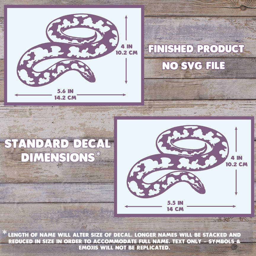 Sand Boa Decal, Waterproof Vinyl Decal, Cute Snake Reptile Gift