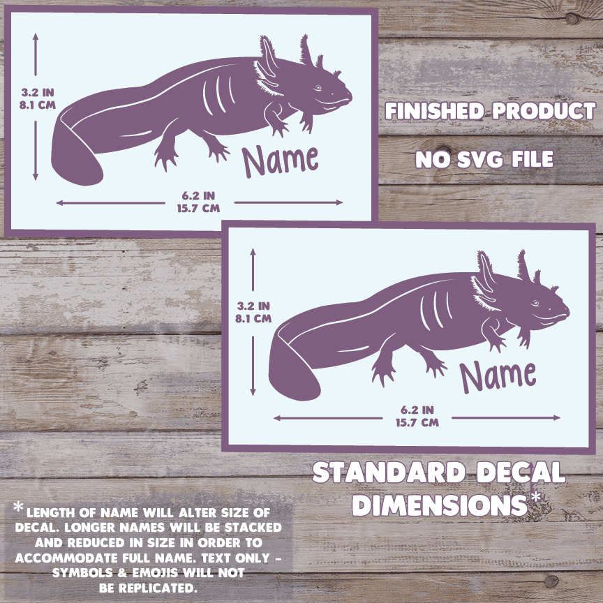 The image depicts 2 axolotl decals with their dimensions on a wooden background. Text states this is a finished product and the dimensions are standard size. Dimensions are 3.2 inches tall by 6.2 Inches wide.