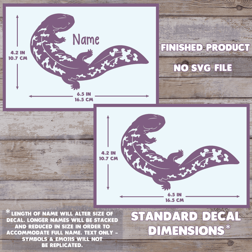 The image depicts 2 Hellbender decals with their dimensions on a wooden background. Text states this is a finished product and the dimensions are standard size. Dimensions are 4.2 inches tall by 6.5 Inches wide.