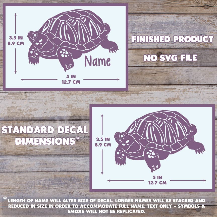 Western Box Turtle Decal, Waterproof Vinyl Decal, Cute Reptile Gift