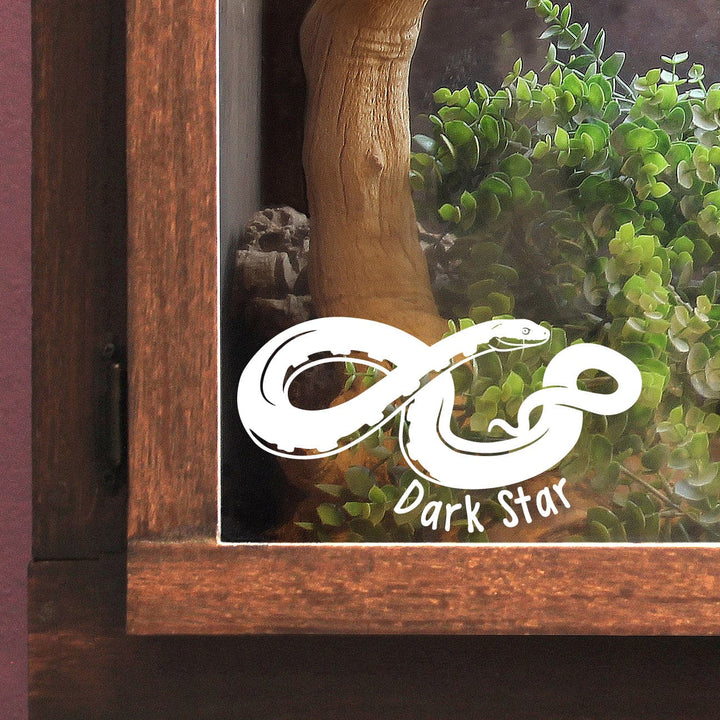 Image shows a black rat snake vinyl decal on the glass of a wooden enclosure with the name Dark Star under the bellow of the snakes body.