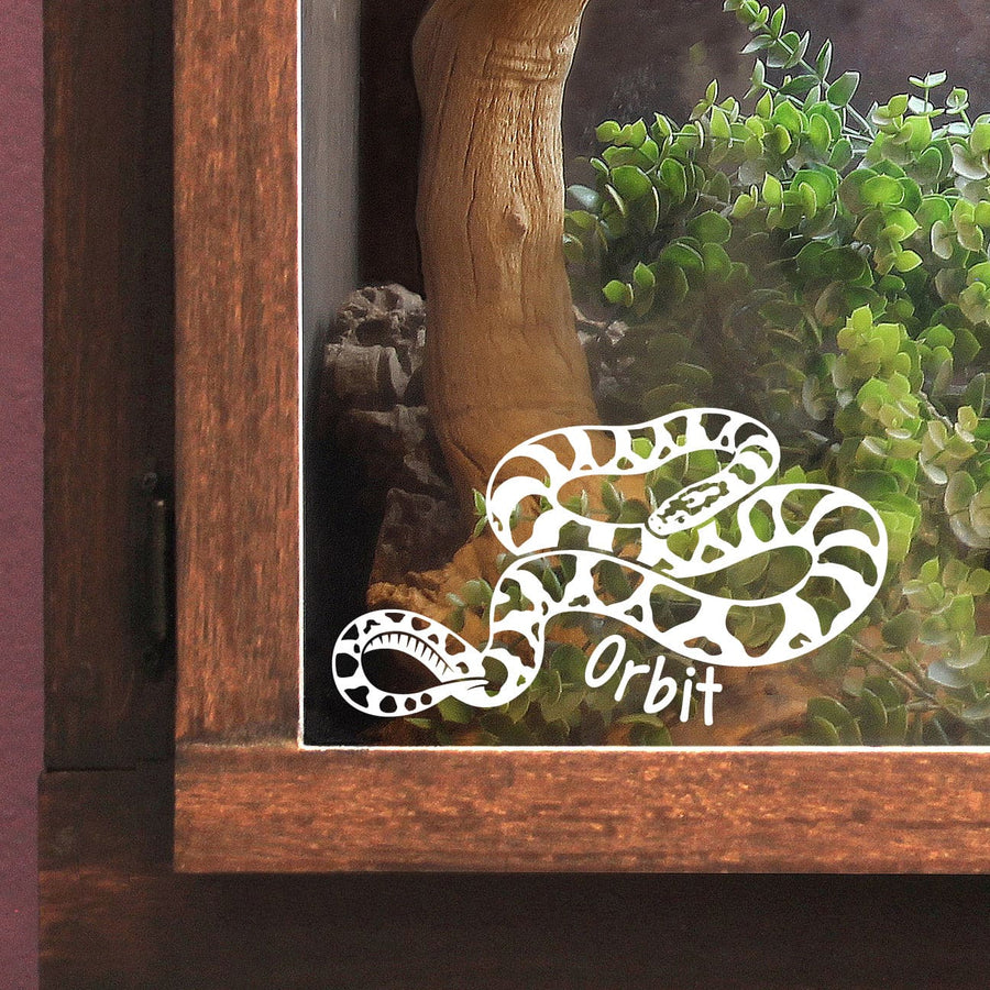 Decorative Eastern Milk Snake vinyl decal design with 'Orbit' on a glass panel with plants and wood in the reptile enclosure.