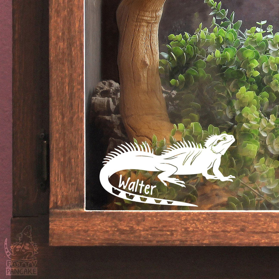 Chinese Water Dragon Decal, Waterproof Vinyl Decal, Cute Reptile Gift