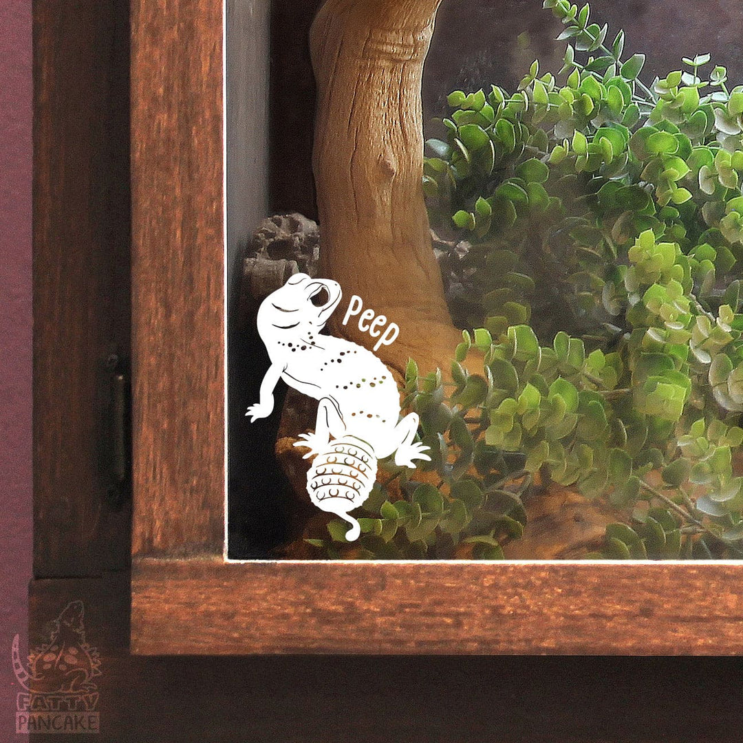 Knob-Tailed Gecko Waterproof Vinyl Decal, Cute Reptile Gift