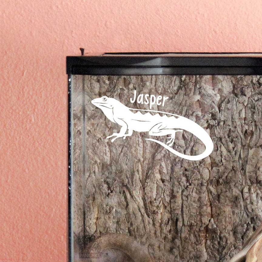 Brown Anole Vinyl Decal, Customizable Reptile Tank Decor