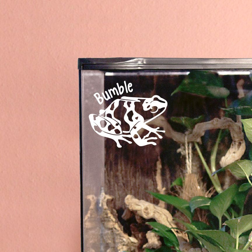 Photo depicts a white vinyl decal sticking on the top corner of a glass vertical enclosure. The decal design shows a Bumblebee Dart Frog, it's strong adhesive making it a permanent fixture to it's surface, highlighting the brilliant matte white color and smooth finish of the material.