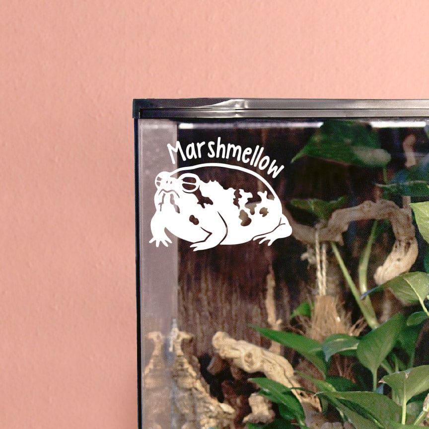 Photo depicts a white vinyl decal sticking on the top corner of a glass vertical enclosure. The decal design shows a Desert Rain Frog, it's strong adhesive making it a permanent fixture to it's surface, highlighting the brilliant matte white color and smooth finish of the material. The frog has a round smooth shape with little speckles on the body.