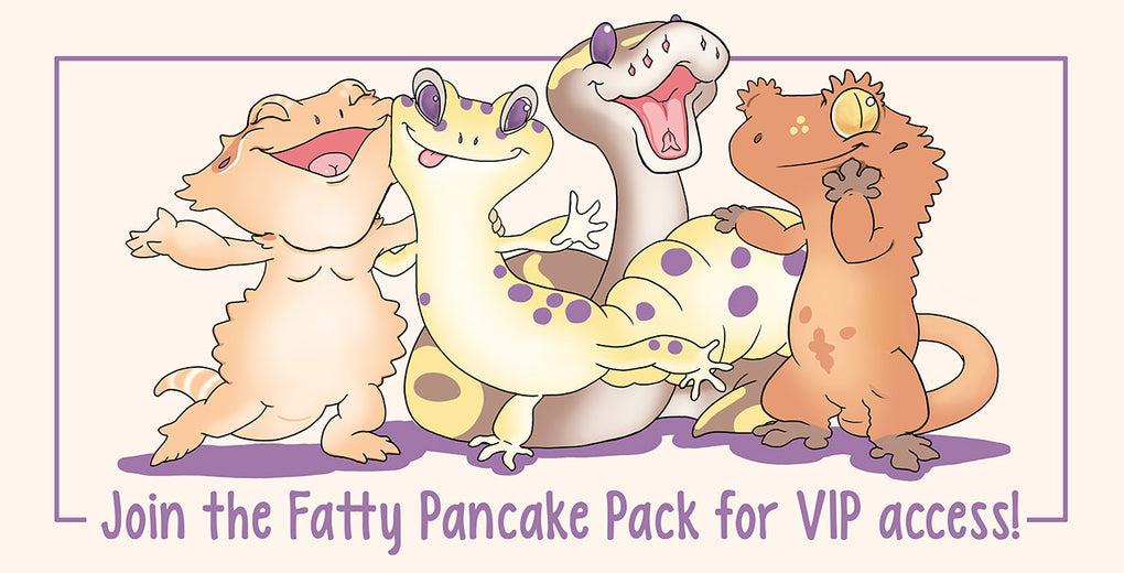 Fatty Pancake Pack news letter signup graphic. Shows a bearded dragon, leopard gecko, ball python, and crested gecko in a cartoon form. All of them look silly and goofy.