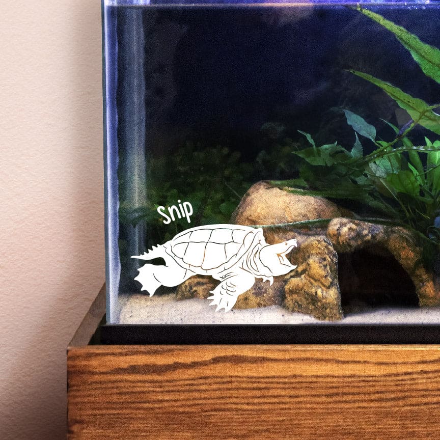 Common Snapping Turtle Decal, Waterproof Vinyl Decal, Cute Reptile Gift