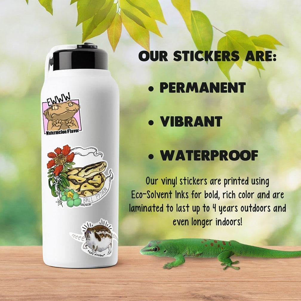 Image shows a sticker covered water bottle on a wood table with text: "Our stickers are: Permanent, vibrant, waterproof. Our vinyl stickers are printed using eco-solvent inks for bold colors and are laminated to last up to 4 years outdoors."
