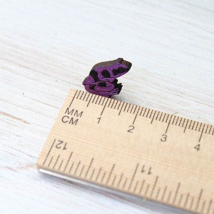 Pendientes de rana dardo venenoso