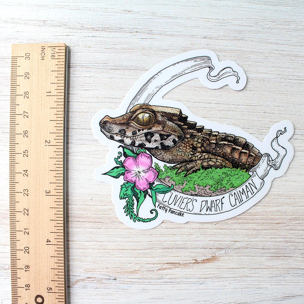 Cuvier's Dwarf Caiman Banner Sticker