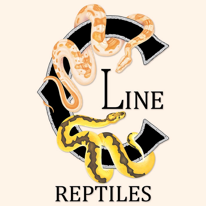 Ball Python and Reticulated Python logo commission.