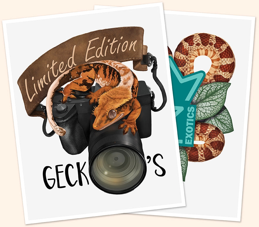 Custom art designs with a crested gecko and snake on a white paper background.