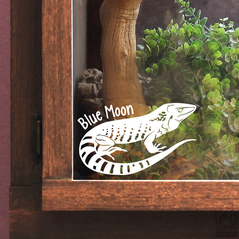 A white vinyl decal of a Dusky Giant Ameiva lizard with the text 'Blue Moon' applied to the glass of a wooden terrarium, shown in front of a live lizard and green plants.