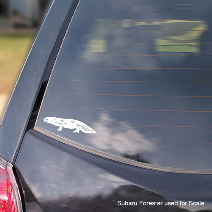 A white vinyl decal of a Gidgee Skink lizard applied to the rear window of a dark car, shown for scale with a Subaru Forester watermark in the bottom right corner.