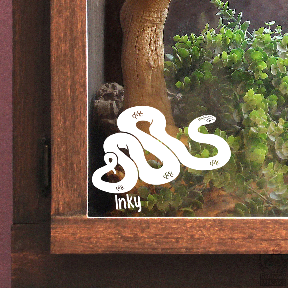 A white vinyl decal of a coiled Mexican Black Snake with small scale details and the name &