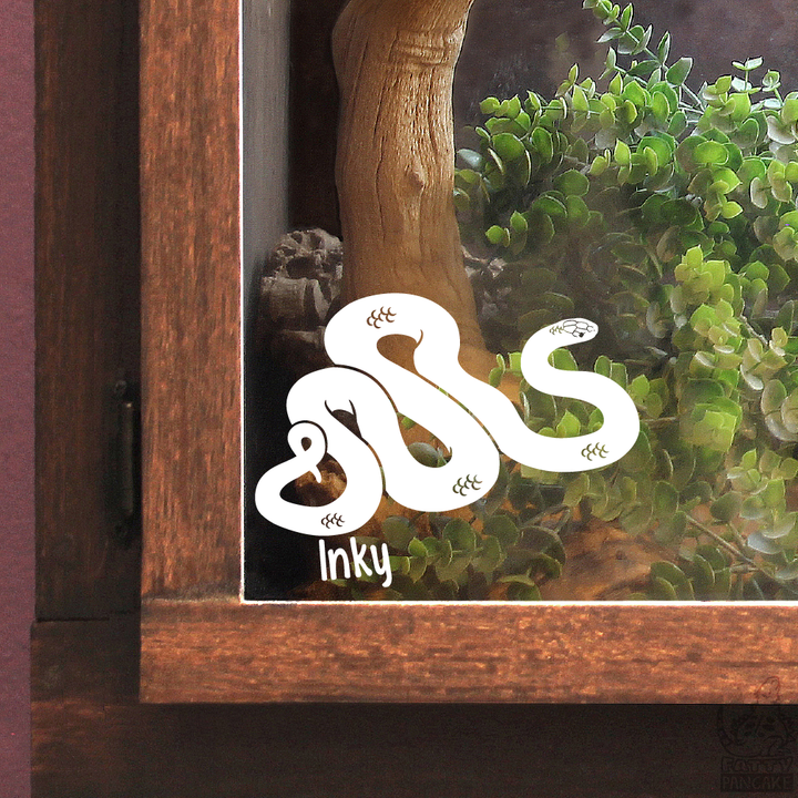A white vinyl decal of a coiled Mexican Black Snake with small scale details and the name &