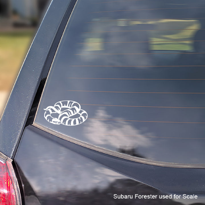 A white vinyl decal of a coiled Puffed-Faced Water Snake applied to the rear window of a dark-colored Subaru car, with a text overlay at the bottom right reading &