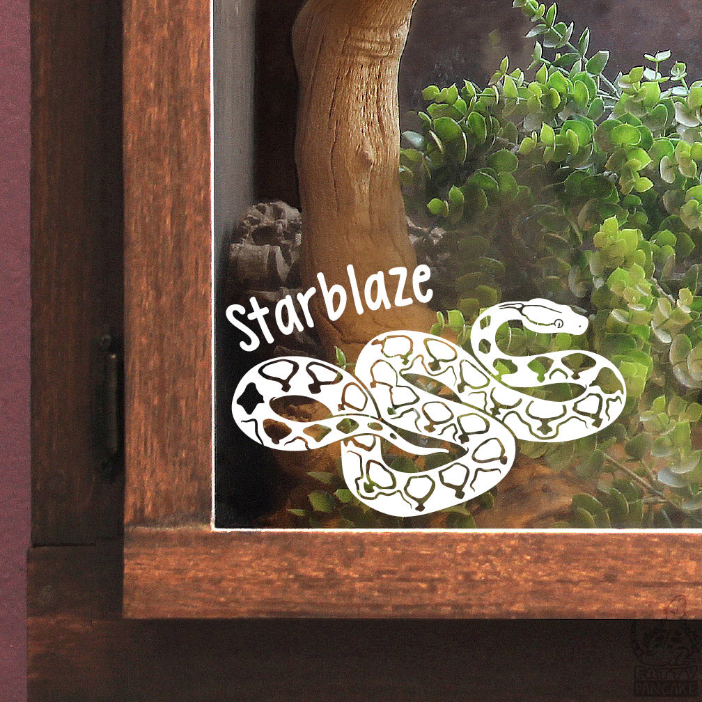 A white vinyl decal featuring the name 'Starblaze' in a handwritten font above a coiled Dwarf Reticulated Python custom decal, shown applied to the glass door of a wooden display case with a terrarium inside.