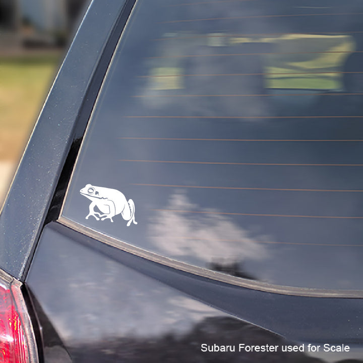 A white vinyl decal of a White Lipped Tree frog with a car window sticker context, shown on the rear window of a dark car with Subaru Forester text overlay at the bottom right.
