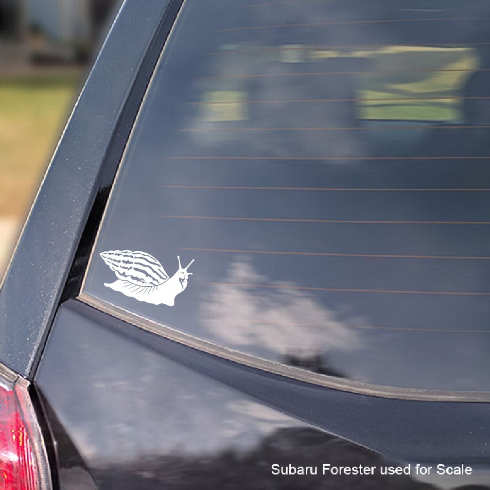 White African Giant snail decal on a car window with 'Subaru Forester used for scale' text.