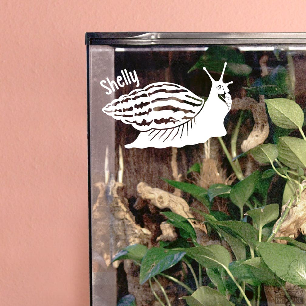 Aquarium with an African Giant Snail decal labeled 'Shelly' against a pink wall.