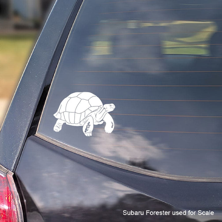 White Aldabra Tortoise decal on a car window with 'Subaru Forester used for scale' text.