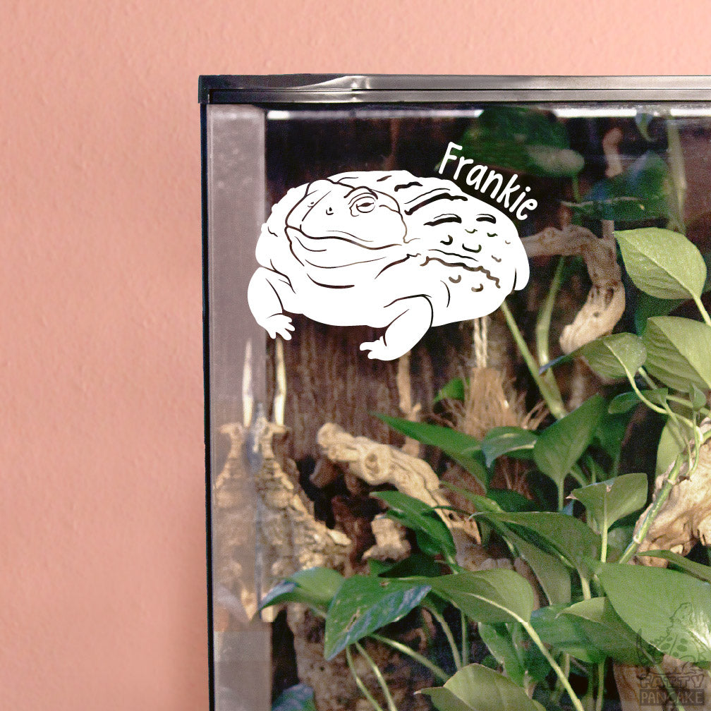 A white decal of an African Bullfrog on a glass surface, with the name 'Frankie' written on it, surrounded by plants and wood inside a terrarium.