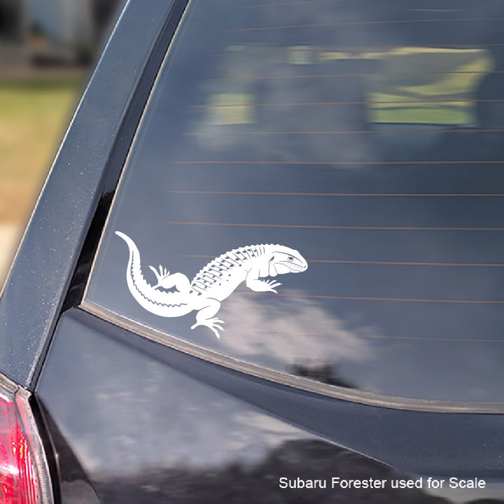 White Caiman Lizard decal on a dark-colored car window with 'Subaru Forester used for scale' text.
