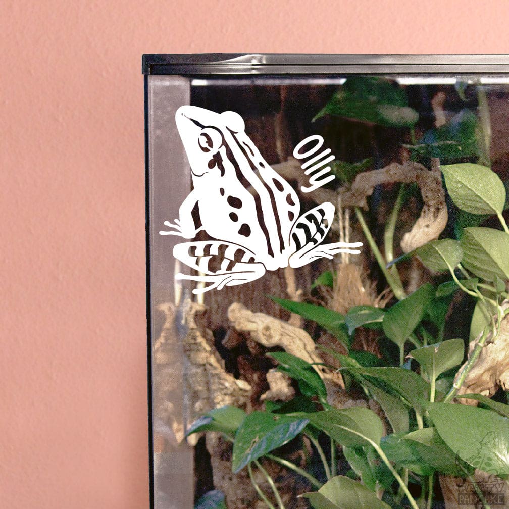 White Common Rain Frog decal on a glass terrarium corner with plants inside. The wall is a  pink background color.
