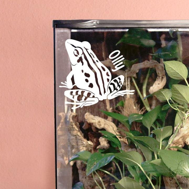 White Common Rain Frog decal on a glass terrarium corner with plants inside. The wall is a  pink background color.