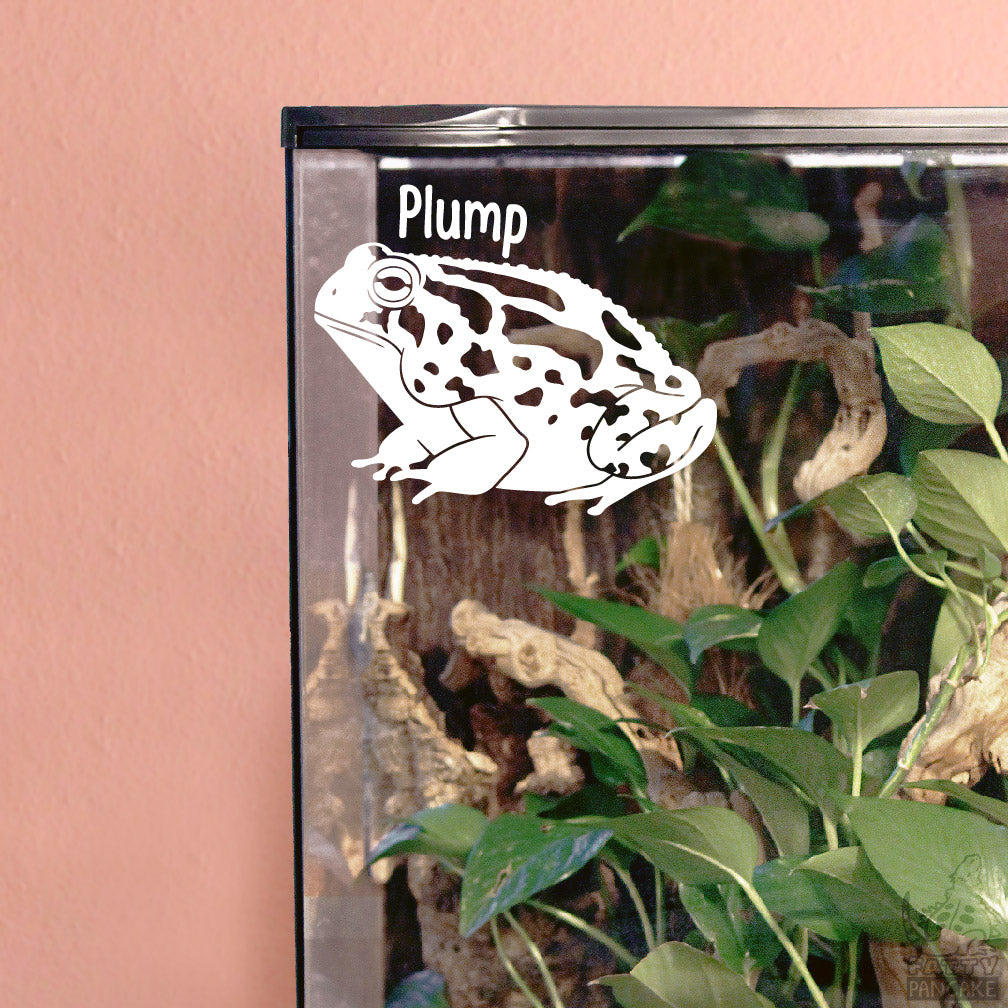 White Great Plains Toad decal on a glass enclosure with plants and pink wall background.