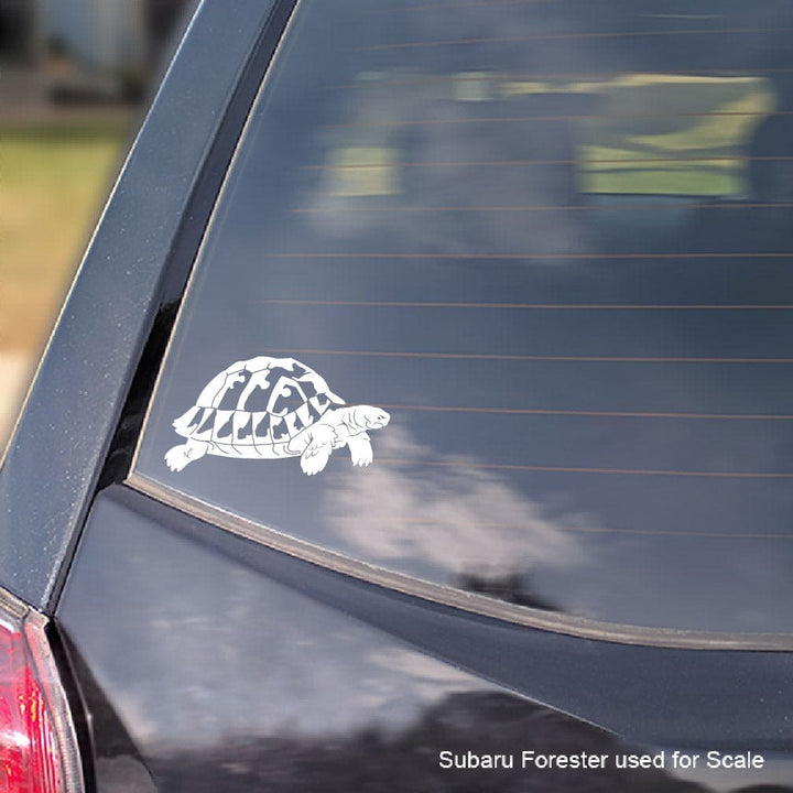 White Hermann's Turtle decal on a dark-colored car window with 'Subaru Forester used for scale' text.
