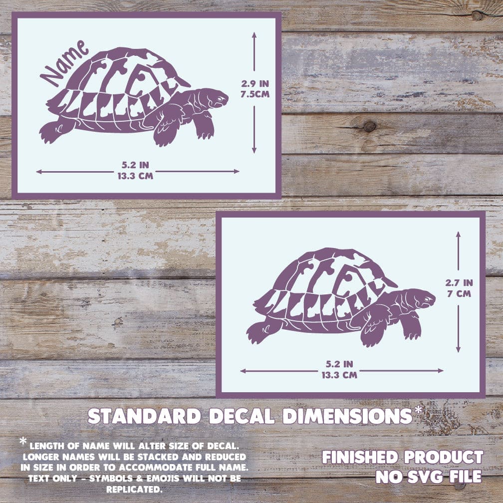 Hermann's Tortoise decal with dimensions on a wooden background. Dimensions are 2.9 inches tall by 5.2 inches wide.