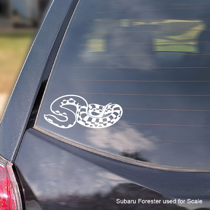 Car window with a Madagascar Giant Hognose snake-shaped decal and 'Subaru Forester used for scale' text.