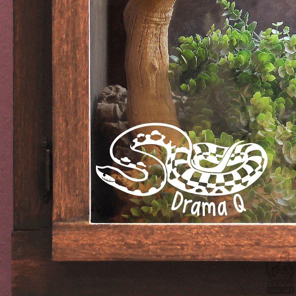 Decorative giant Madagascar hognose snake design with 'Drama Q' text on the glass of a wooden enclosure with greenery.