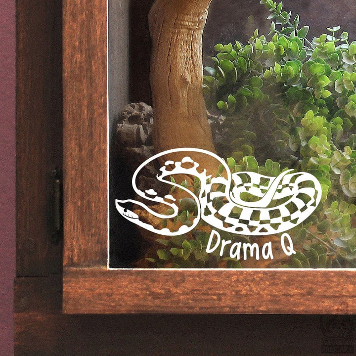 Decorative giant Madagascar hognose snake design with 'Drama Q' text on the glass of a wooden enclosure with greenery.