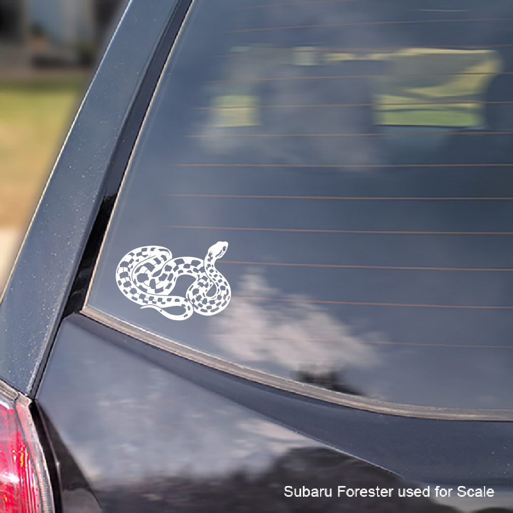 White Madagascar Cat-Eyed snake decal on a dark-colored car window with 'Subaru Forester used for scale' text.